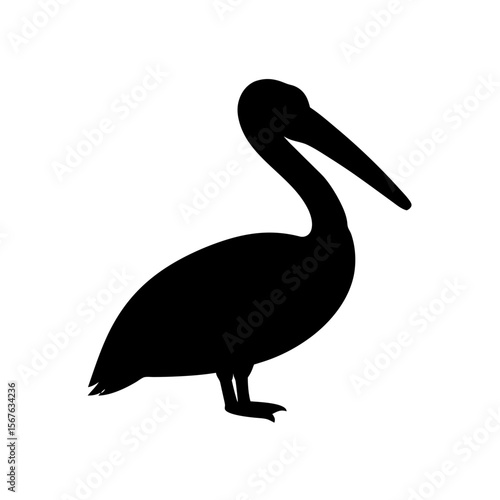 Graceful Side View Black Silhouette of a Pelican Bird on a White Background