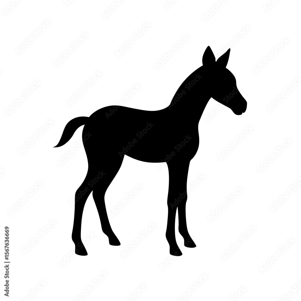 Obraz premium Charming Black Silhouette of a Foal Side View Isolated on a Pure White Background