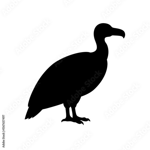 A Condor Silhouette In Profile For A Large And Scavenging Bird