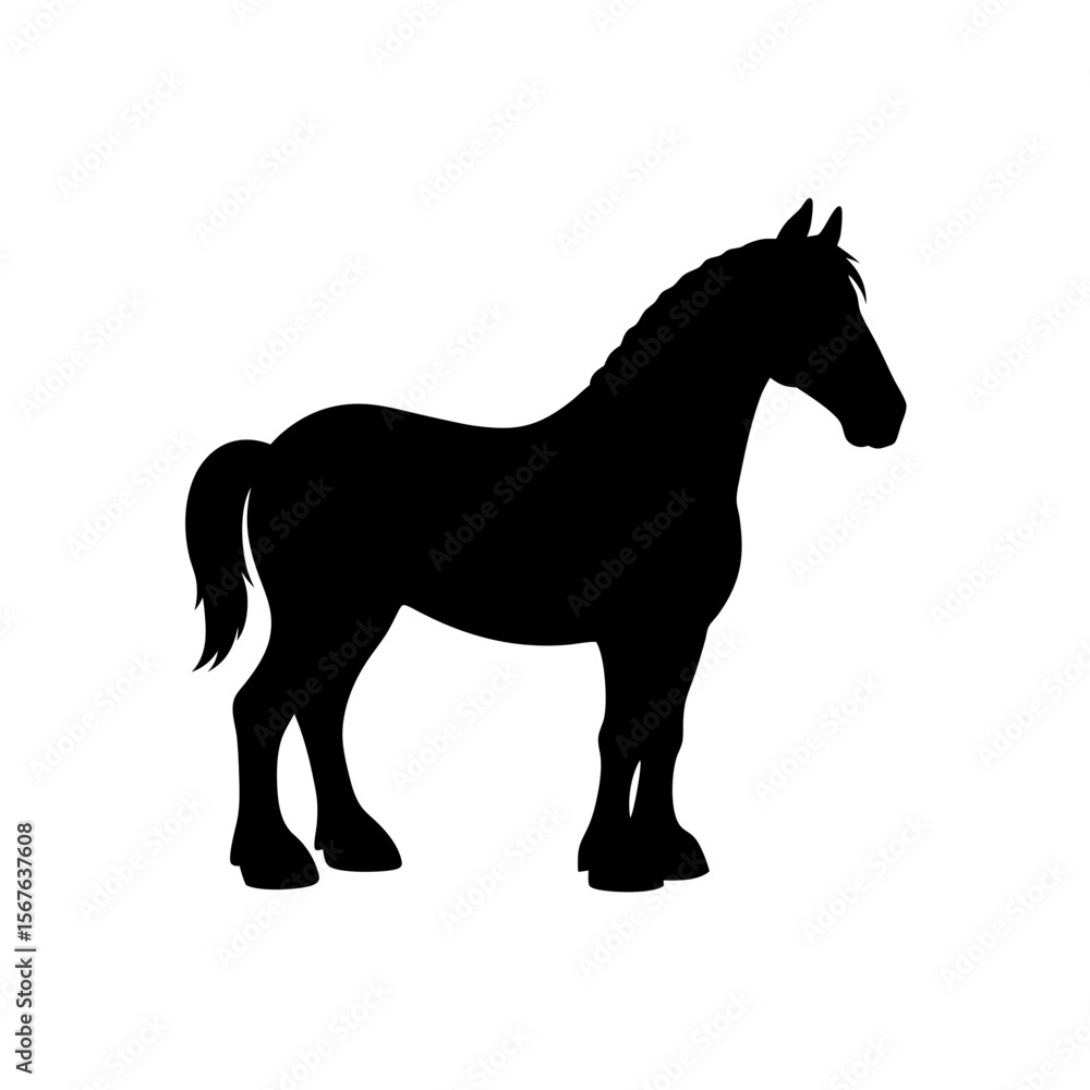 Fototapeta premium A Clydesdale Horse Silhouette In Profile For A Large And Strong