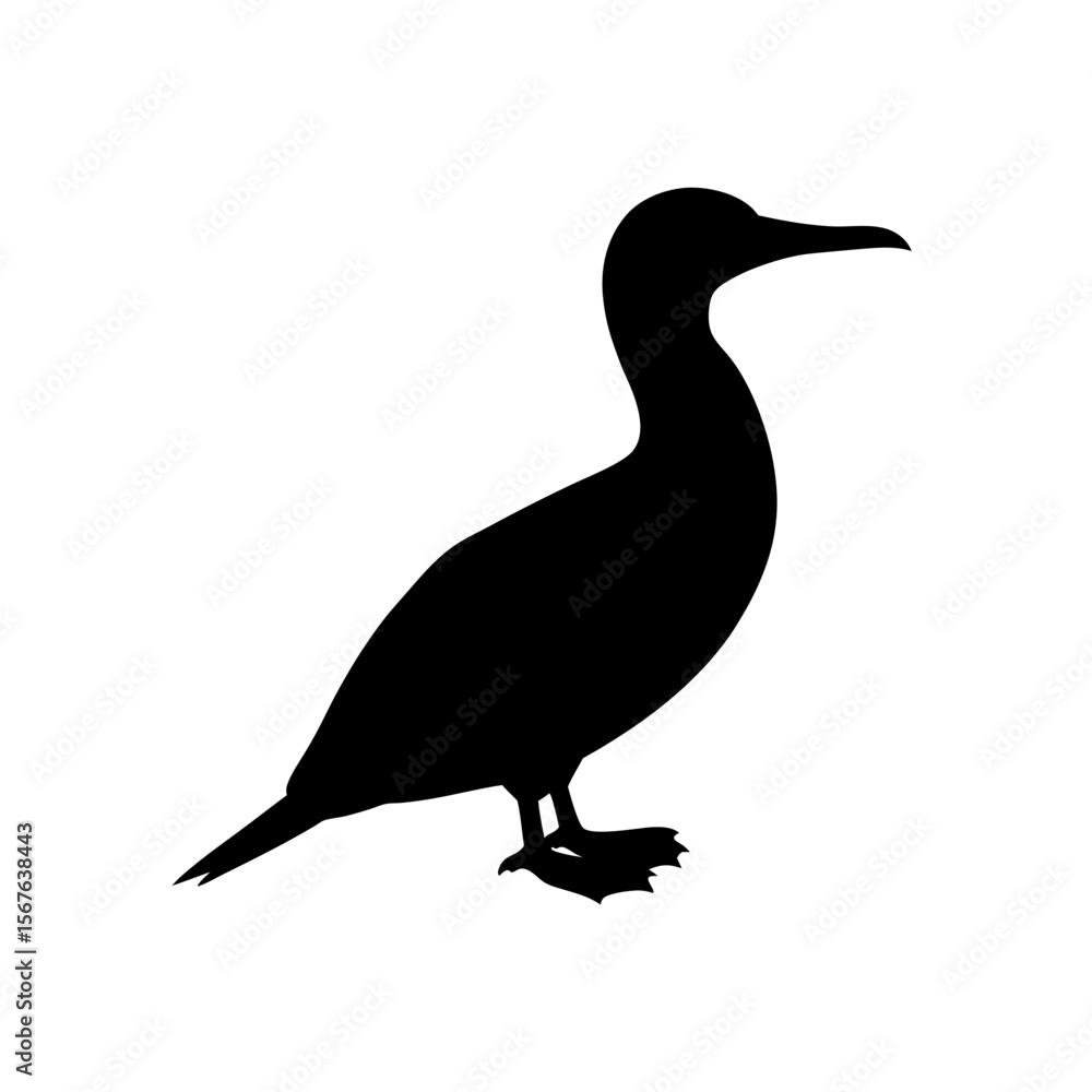Obraz premium A Blue Footed Booby Silhouette In Profile For An Exotic Seabird