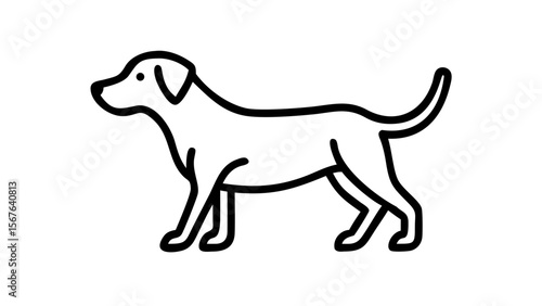 vector illustration of a dog