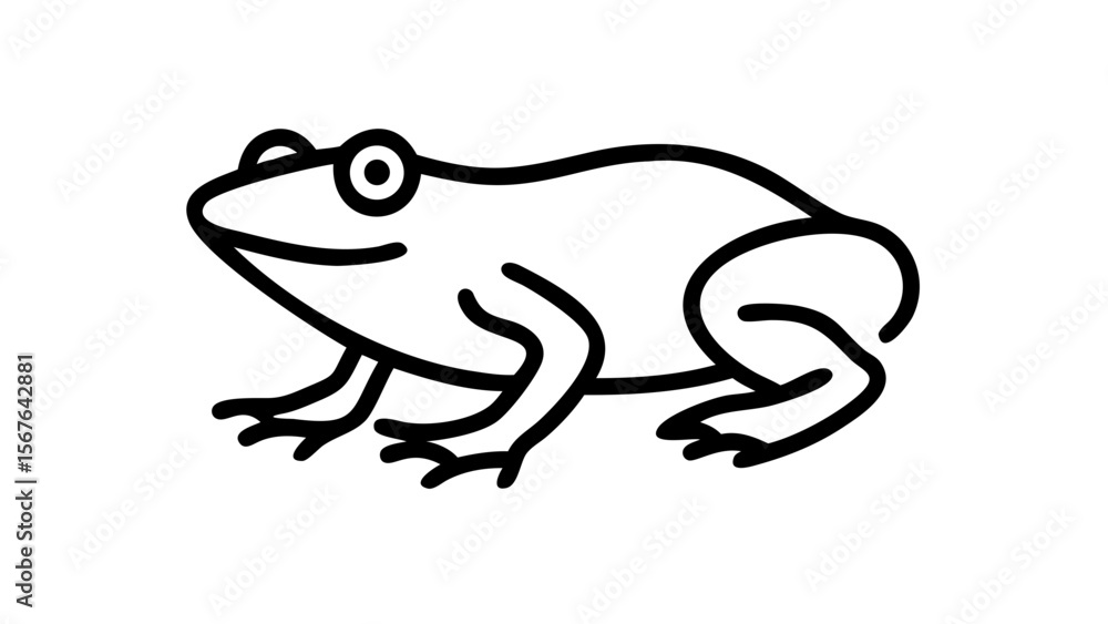 Obraz premium frog on a white background
