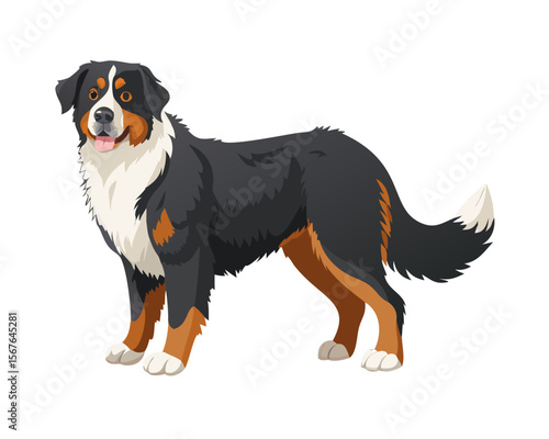 High-Quality Vector Illustration of a Bernese Mountain Dog