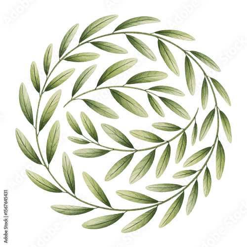 Green olive branches forming a circular wreath green leaves