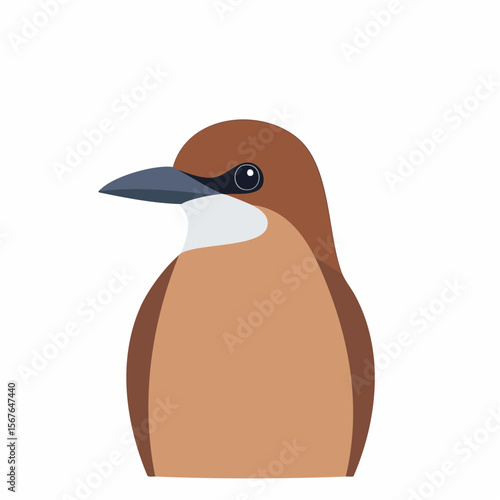 Brown-breasted Kingfisher Bird Illustration Detailed Vector Graphic
