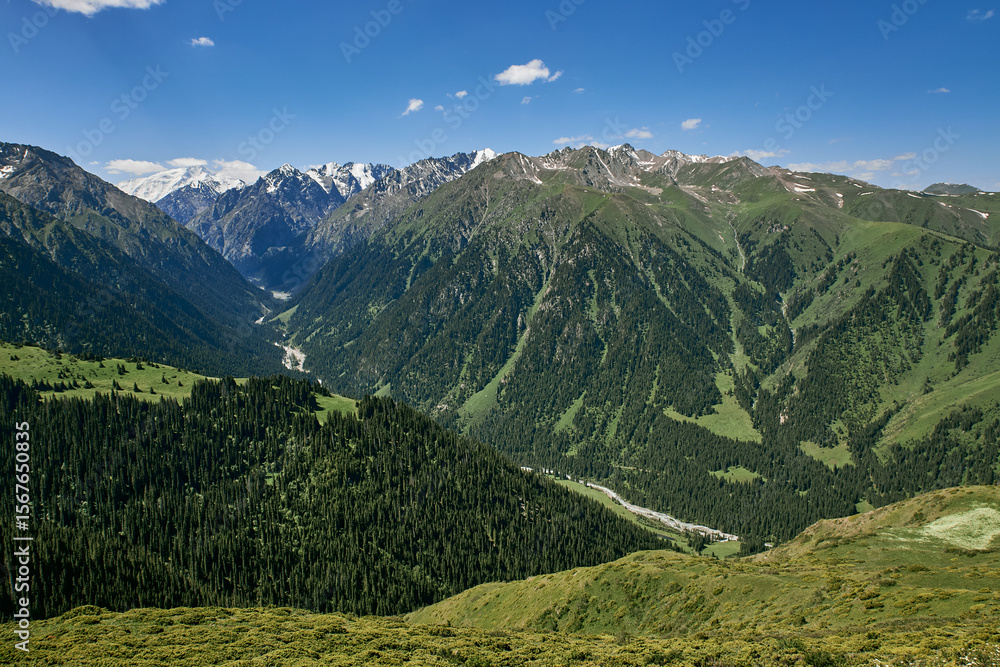 Fototapeta premium Karakol Gorge, Summer natural landscape. Mountain range, dense coniferous forest and snow capped peaks. Travel destination in Kyrgyzstan, Kirgiziya Mountains. Scenery, hight point of view