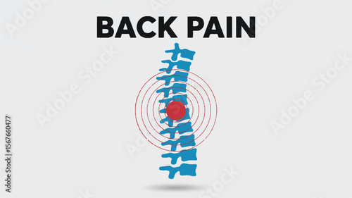 Spinal column with pain indicators spine back pain