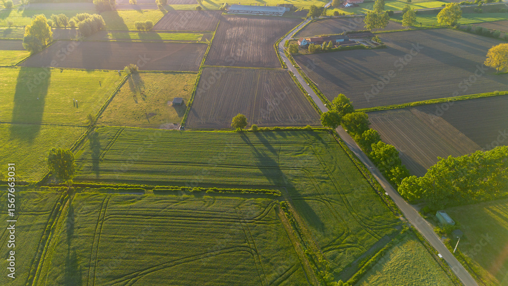 Fototapeta premium belgian landscape