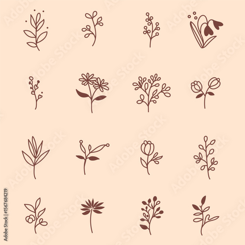 Hand-Drawn Botanical Illustrations Featuring Minimalistic Floral and Leaf Designs