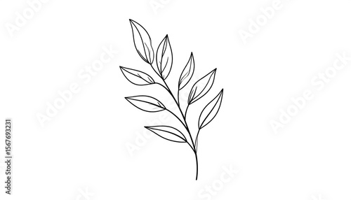 Elegant Hand-Drawn Line Art of Green Leaf Branch with Delicate Leaves and Organic Design Elements