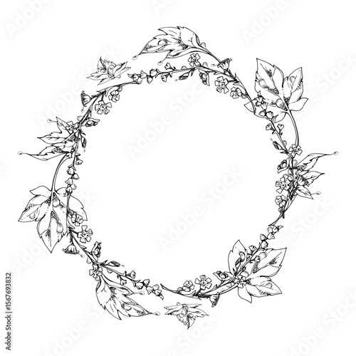 Green leaf, long cluster flower in water dew drops. Bush tree foliage hand drawn in vector ink, Currant gooseberry maple sycamore avens. Isolated wreath frame crown. Florist shop, eco herbal cosmetics