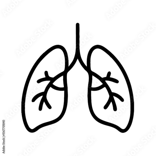 Vector illustration of a human lungs icon with two lobes and windpipe (trachea), outline style - respiratory health, breathing, and medical wellness concept 