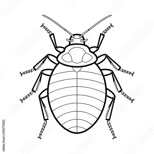 A beautiful line drawing of a bedbug coloring page