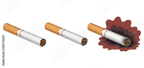 Smoking Dangers Cigarette Before and After Burning