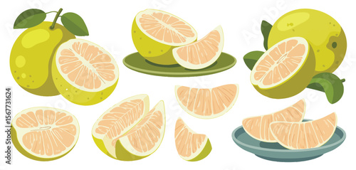 Fresh Pomelos Fruit Slices and Whole Fruits Illustration