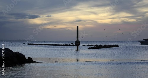 Atardecer Caribeño - Aves III