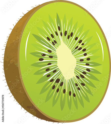 Illustration of a Delicious and Nutritious Half Kiwi Fruit on White