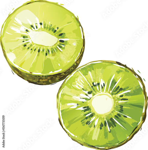 Two Slices of Kiwi Fruit with Watercolor Style Vector Illustration
