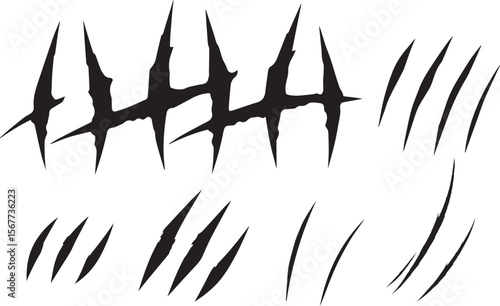 claw scratches, vector illustration on white background. animal claws scratching of cat, tiger, lion, bear.