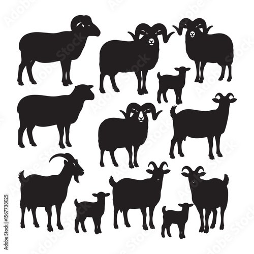 Black Silhouettes of Rams Ewes Goats and Kids Farm Animals Collection Vector Graphic Illustration