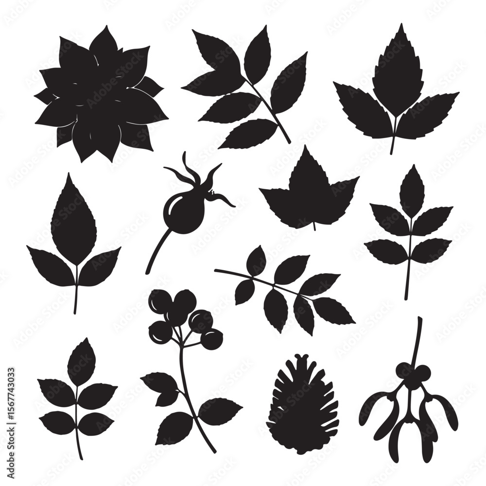 Fototapeta premium Black Silhouettes of Various Botanical Elements Including Flower Leaves Berries and Pine Cone