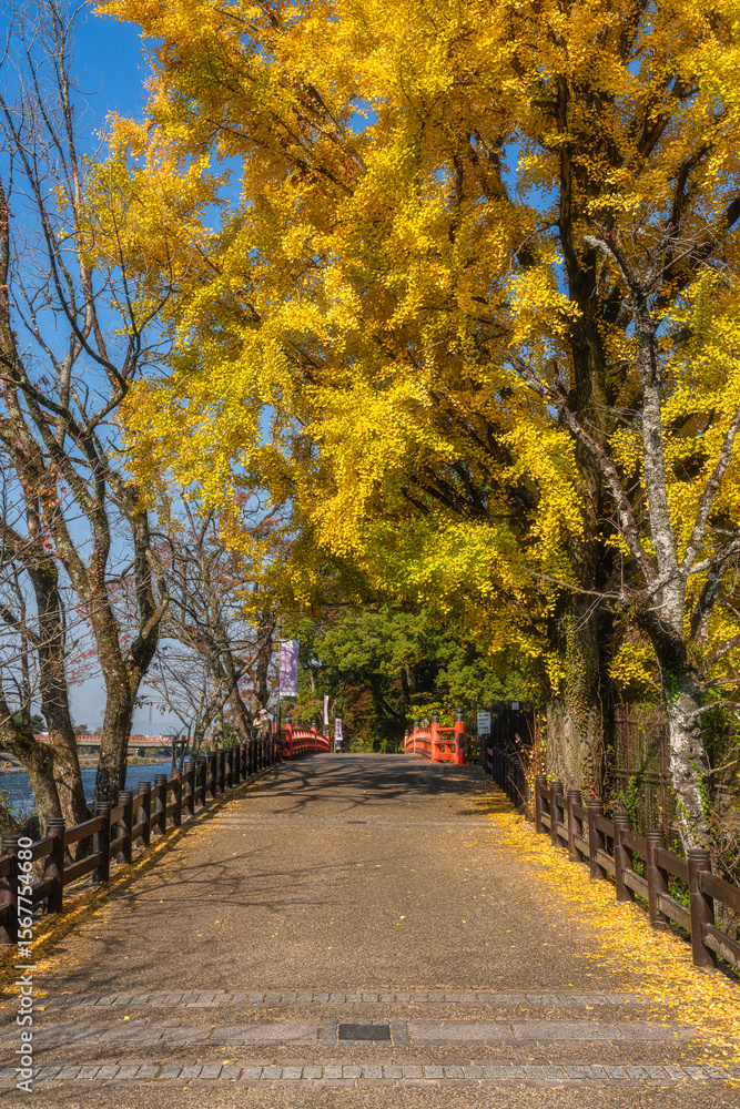 Naklejka premium Scenic sight on a sunny autumn morning along the Uji river in Kyoto, Japan.