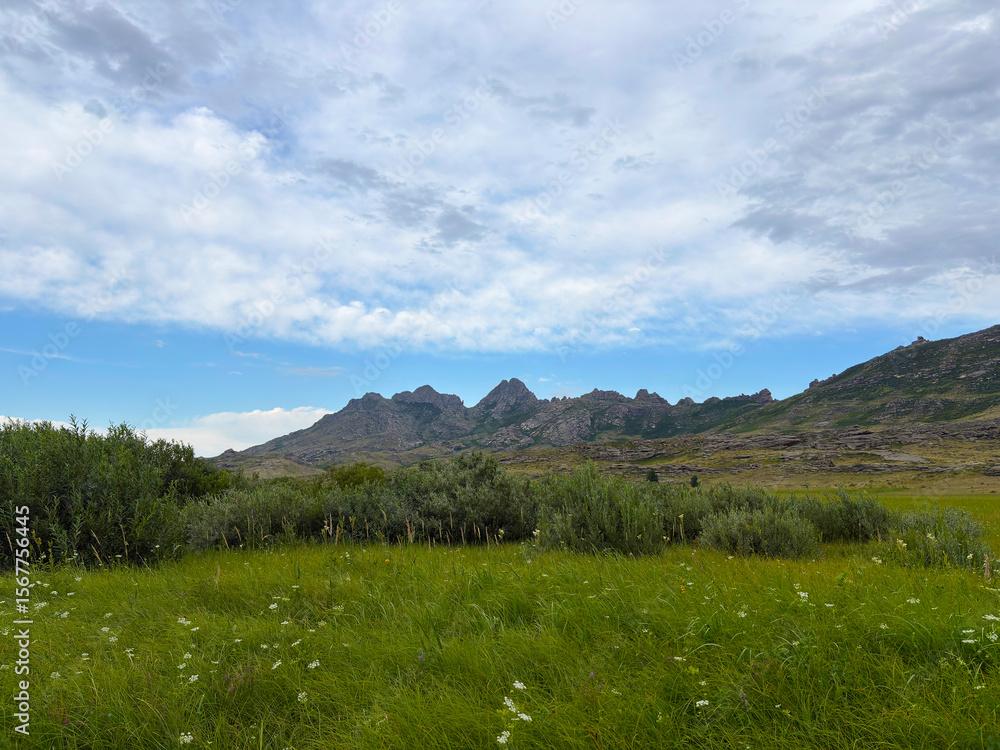 Fototapeta premium Tall Green Grass with Granite Mountains in the Background