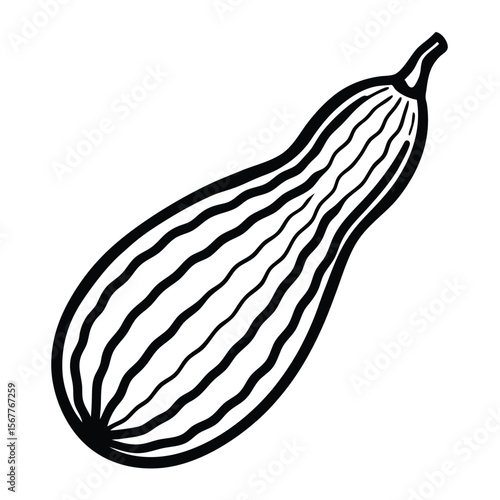 Fresh bitter gourd vegetable illustration isolated on a clean white background