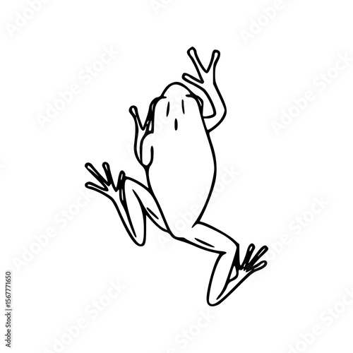 simple green frog outline