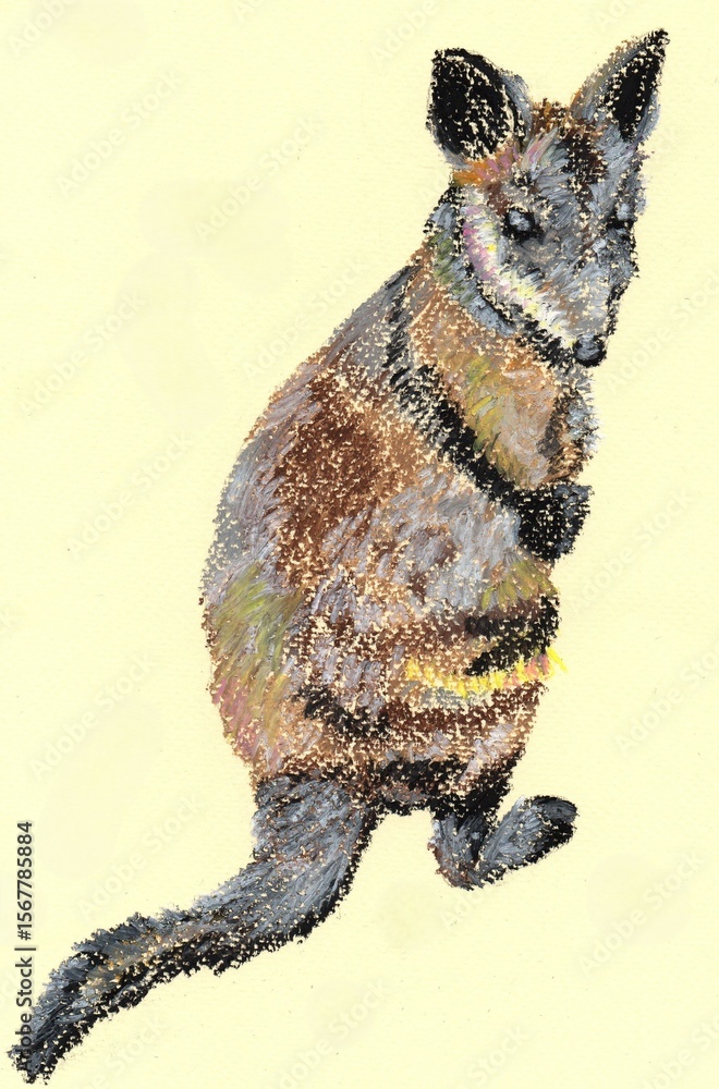 Fototapeta premium Illustration of Australian native animal, swamp wallaby