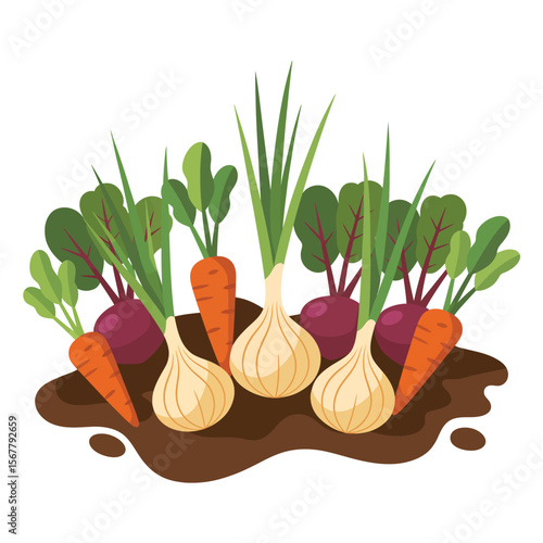 Freshly Harvested Garden Vegetables in Soil