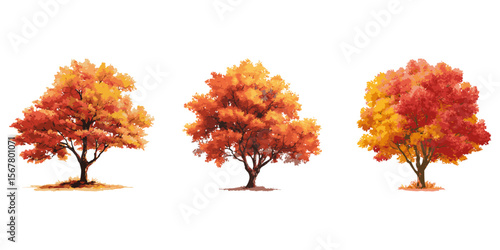 Orange Autumn Trees Digital Vector Illustration Set. Seasonal Landscape Design And Environmental Planning Collection. Isolated Vector Illustration