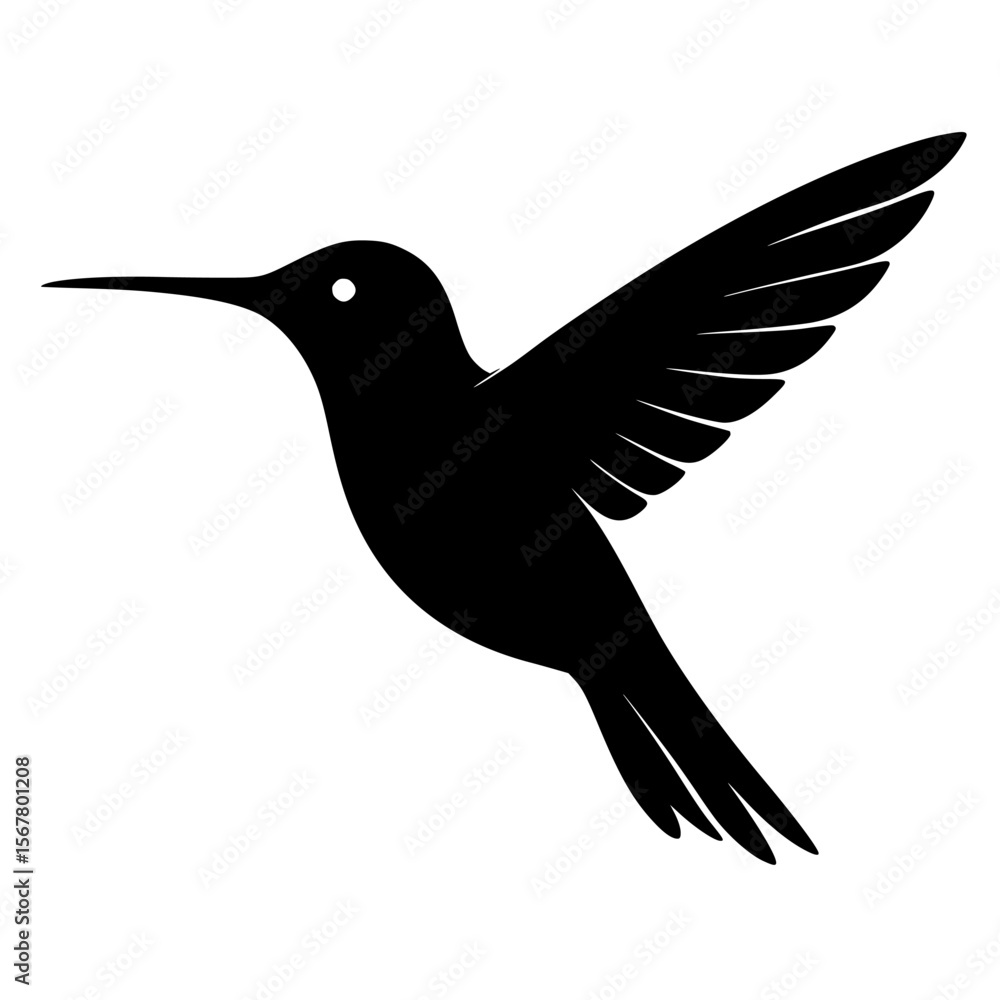 Obraz premium Silhouette of a Hummingbird in Flight