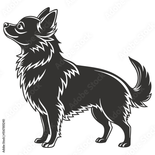  Long Coat Chihuahua Matured Dog Silhouette