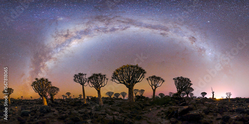 Köcherbäume Landschaft Keetmanshoop Milchstrasse
Nacht himmel