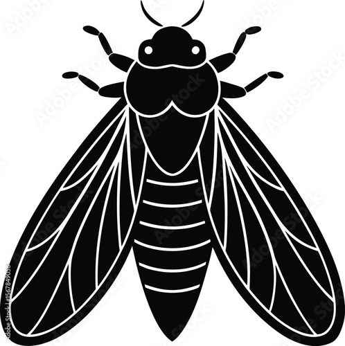cicada on white background.eps