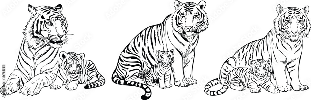 Fototapeta premium Wild Legacy: Tigers and Their Cubs