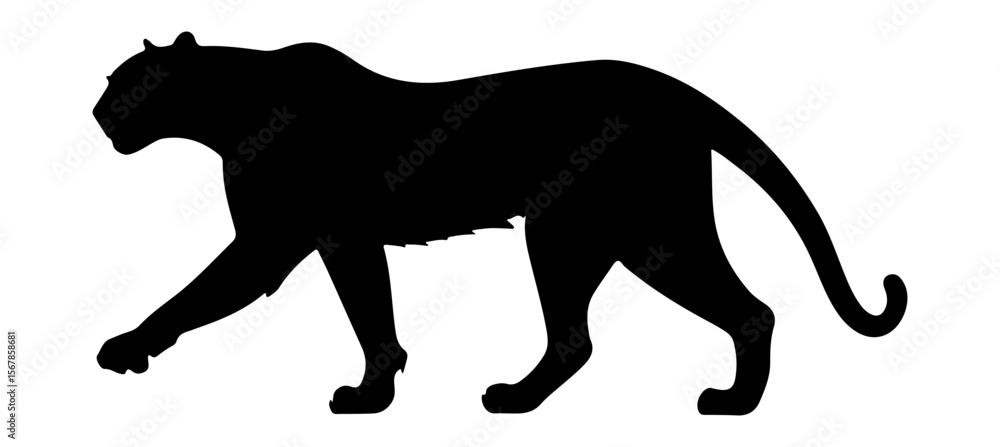 Obraz premium Black Panther Silhouette Walking Stealthily across White Background with Powerful Grace