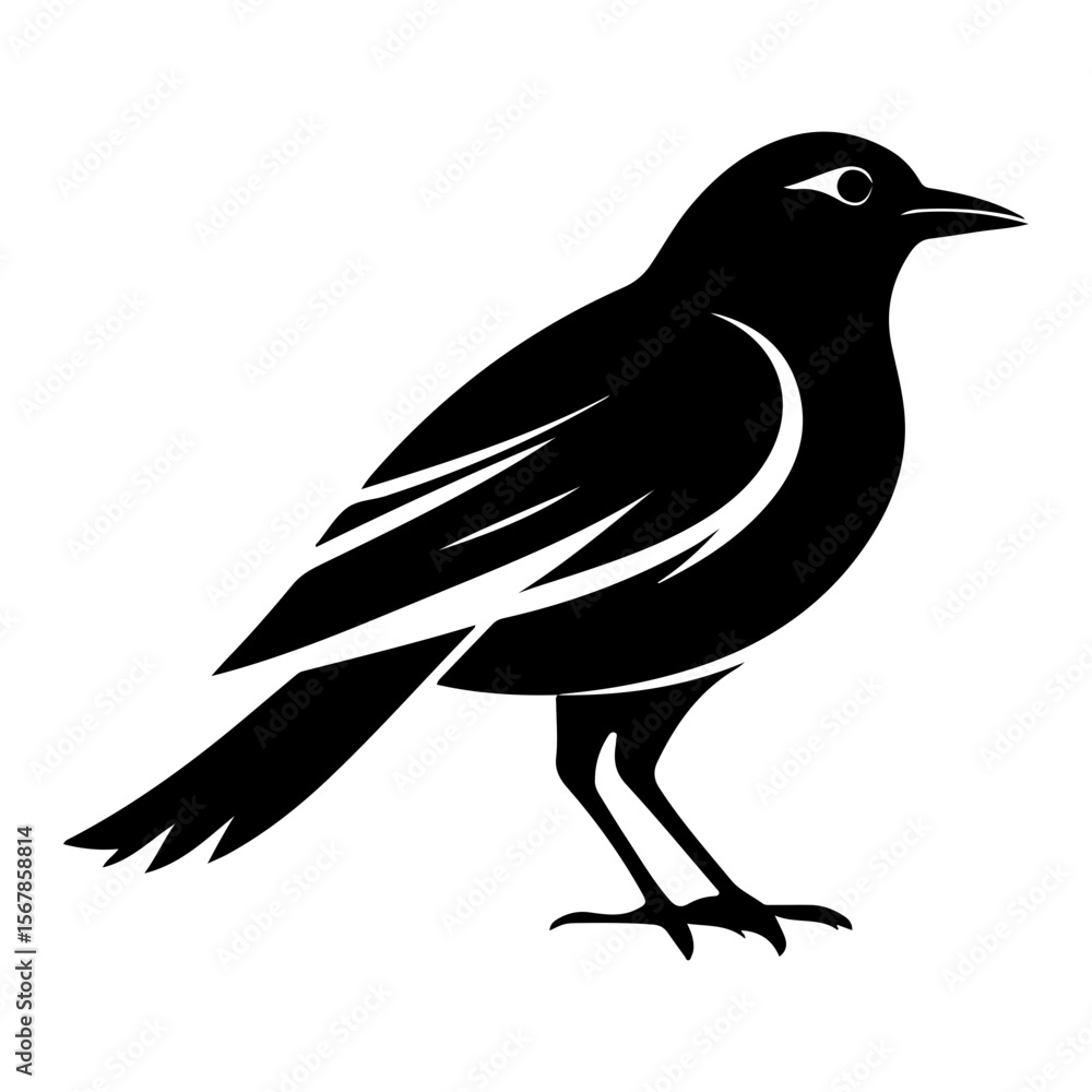 Fototapeta premium Stylized black and white image of a songbird perched on its feet