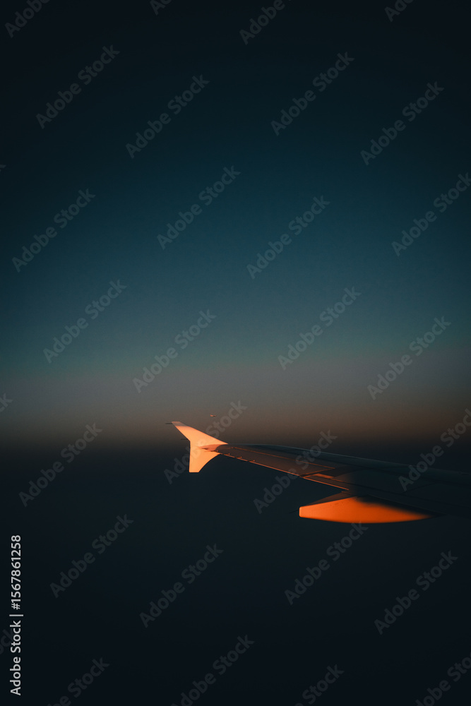 Fototapeta premium airplane in the sky