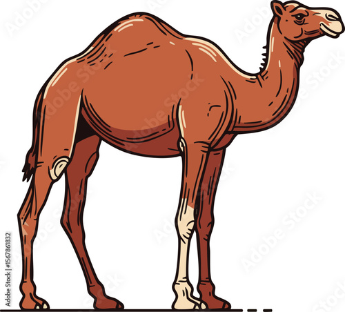 Camel standing side view brown animal desert mammal illustration vector 