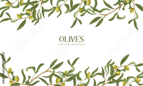 Hand drawn olive branch border frame. Vector botanical illustration with leaves and twigs on white. Perfect for packaging, menu design, cosmetic labels, branding and wedding stationery