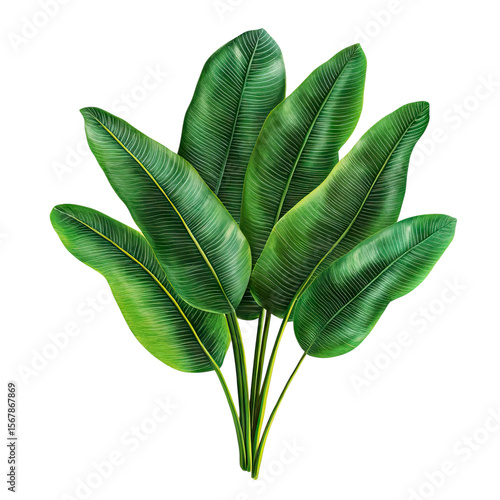 Vibrant Tropical Leaves: Lush Green Foliage Illustration