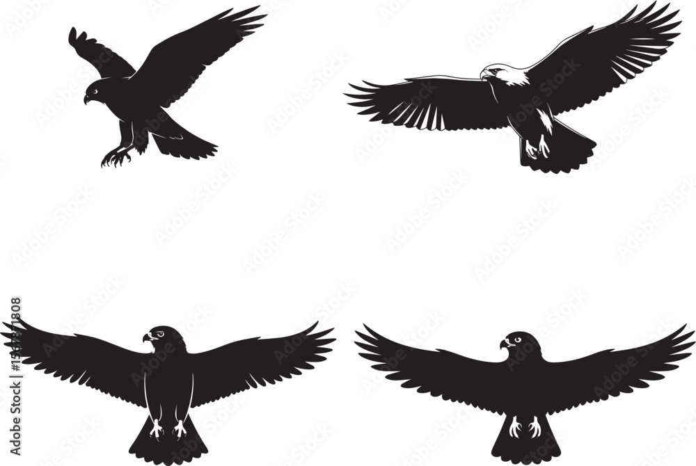 Obraz premium Hawk Silhouettes