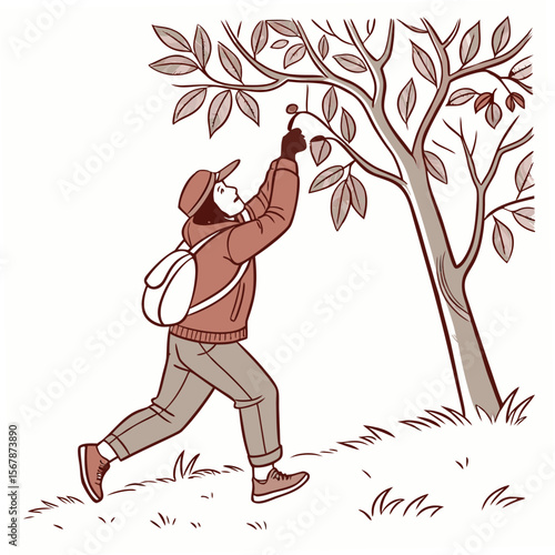 Person picking fruit from a tree nature