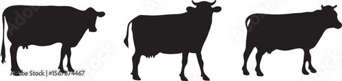 silhouette of a cow, vector cow silhouette design