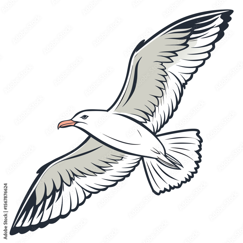 Obraz premium White seagull with grey wings flying bird