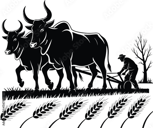 Silhouette illustration of farmer plowing field with oxen, wheat crop, rural agriculture, traditional farming, countryside cultivation vector design