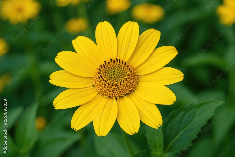 Abstract image of a vibrant yellow blossom featuring unique pistils from a decorative garden plant Abstract image of a vibrant yellow blossom featuring unique pistils from a decorative garden plant